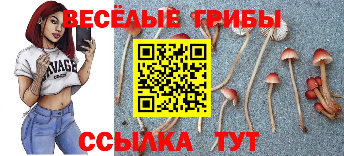 Галлюциногенные грибы мухоморы  купить   Псилоцибиновые грибы GOLDEN TEACHER  Тихвин  Вход с VPN 